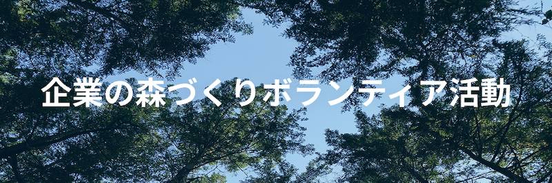 企業の森づくりボランティア活動