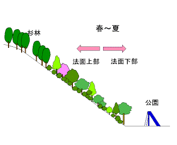 イメージ1