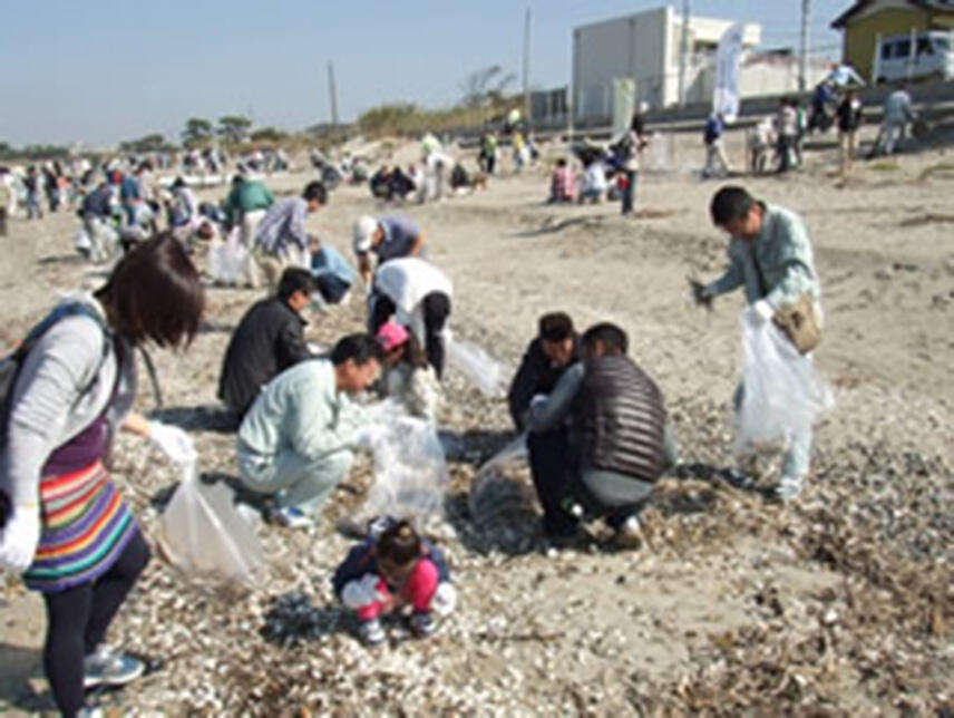 海岸で地域清掃活動を行う参加者の様子