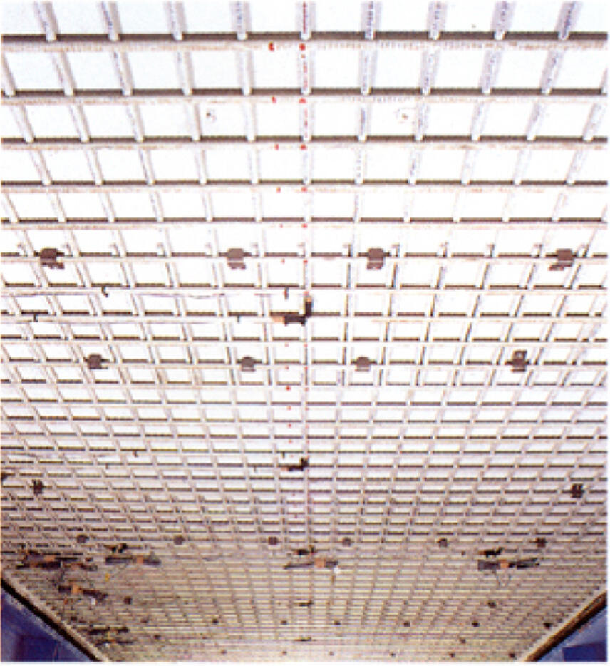 天井面に補強用鉄筋メッシュを格子状に配筋した状況