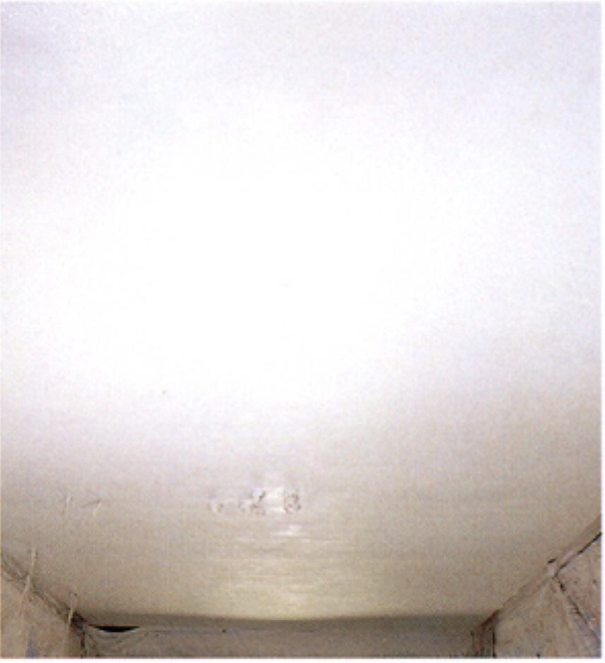 補強・増厚工事が完了した天井面の仕上がり状況